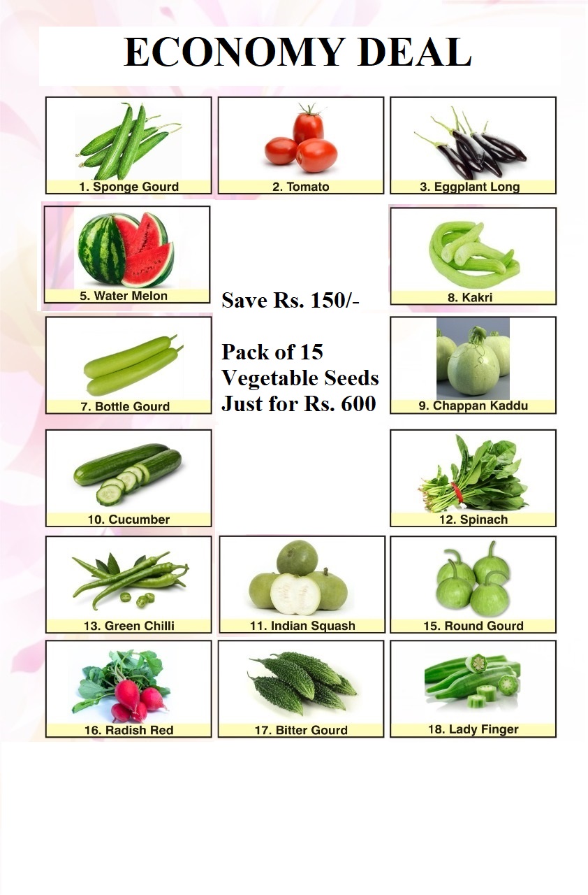 Vegetable seeds shop for sale