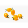 Cherry Tomato Yellow