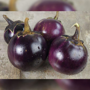 Eggplant Round (Baingan)