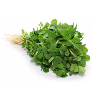 Fenugreek (Methi)