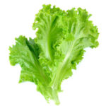 Lettuce-salad