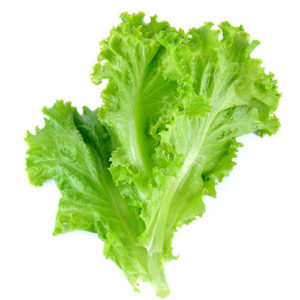 Lettuce-salad