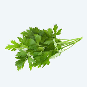 Parsley curly leaves