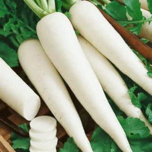 Radish White (Mooli)