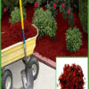 Mulch
