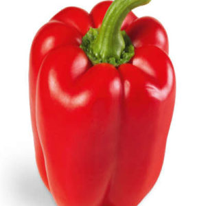 Capsicum Bell Pepper Red