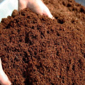 Cocopeat