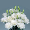 Lisianthus Mariachi White