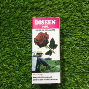 Diseen