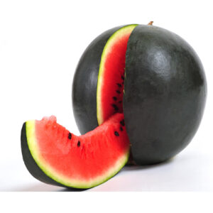 Water Melon Sugar Baby