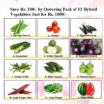 Hybrid Vegetables Deal promotion