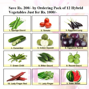 Hybrid Vegetables Deal promotion