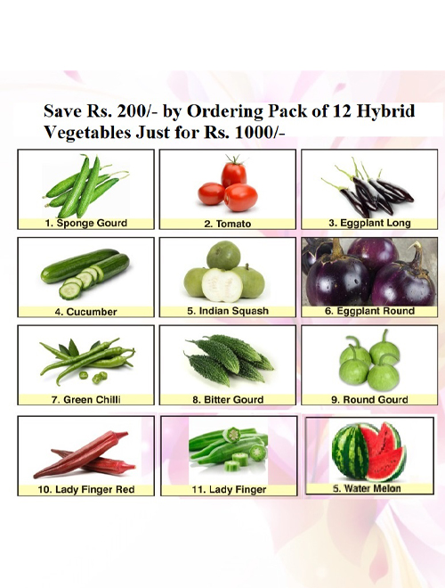 Hybrid Vegetables Deal promotion