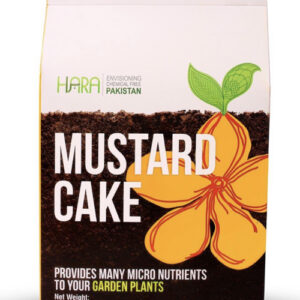 Mustard Cake