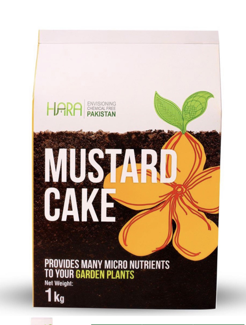Mustard Cake