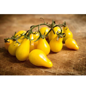 Tomato Yellow Pear