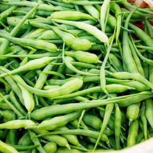 Radish Pods Moongray