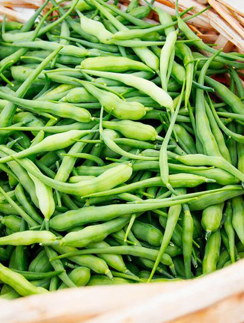 Radish Pods Moongray