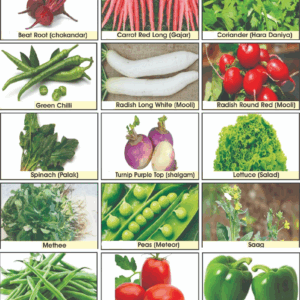 Vegetables Deal