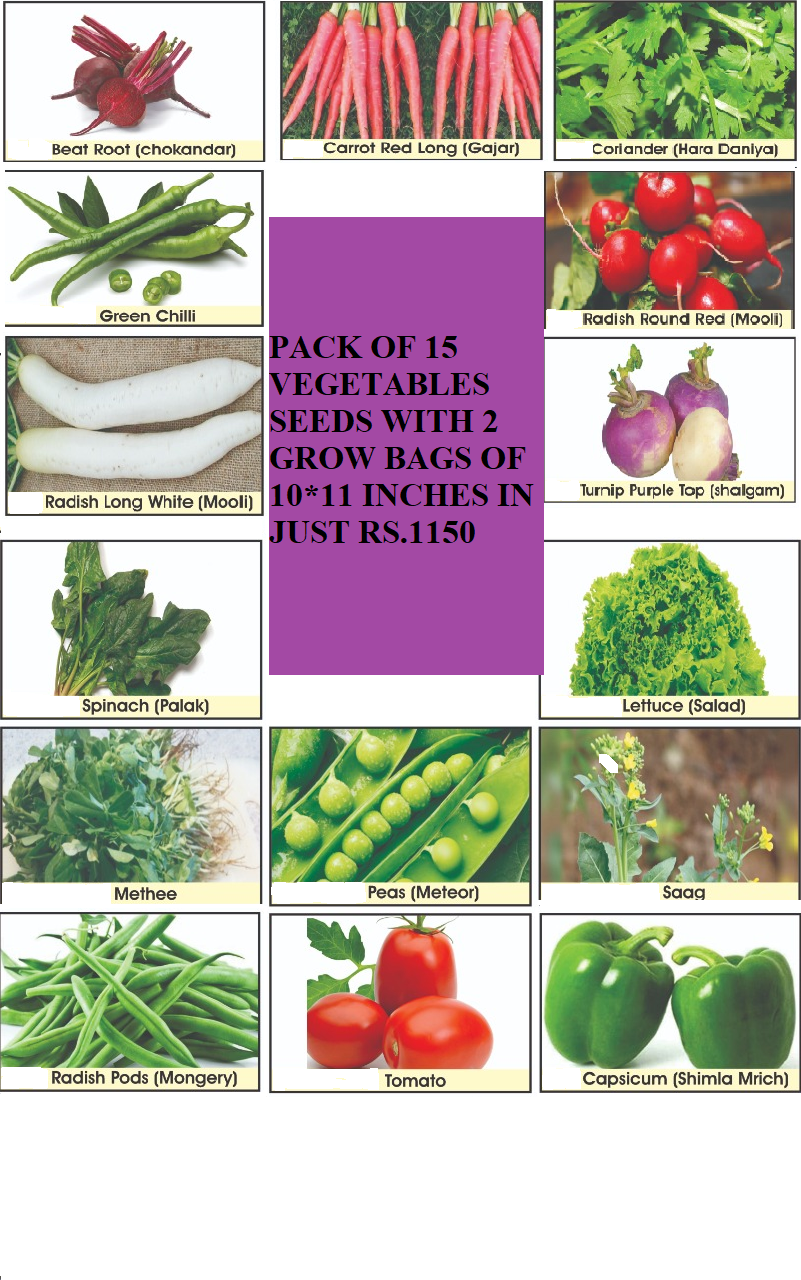 Vegetables Deal Plus Grow Bags