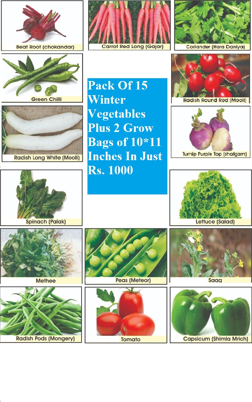 Vegetables Deal Plus Grow Bags