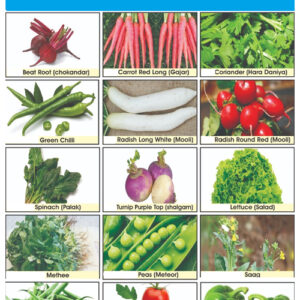 Vegetables deal winter