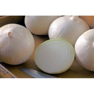 White Onion Blanca Grande