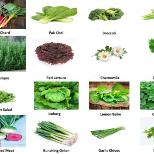 Winter Herbs Deal