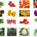 Winter Hybrid Vegetables Deal